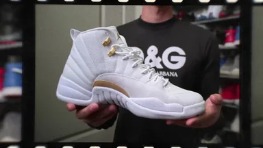 Air Jordan 12 — OVO — source photo